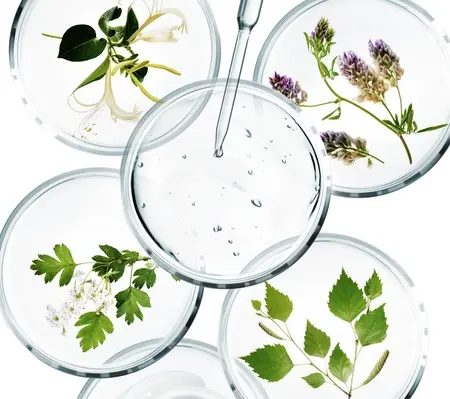 Sothys vitenskap